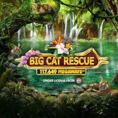 Big Cat Rescue Megaways™ online slot by Red Tiger