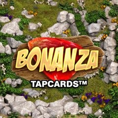 Bonanza Tapcards online slot by Big Time Gaming