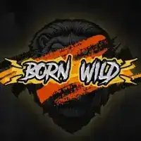 Born Wild online slot by Hacksaw Gaming