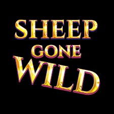 Sheep Gone Wild  online slot by Red Tiger