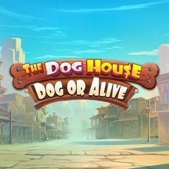 The Dog House – Dog or Alive online slot by Pragmatic Play