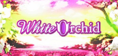 White Orchid online slot by IGT